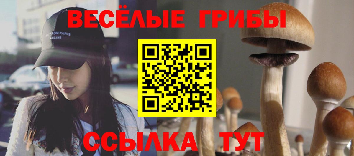 Галлюциногенные грибы MAGIC MUSHROOMS  где продают наркотики  Краснокаменск  Вход с VPN 